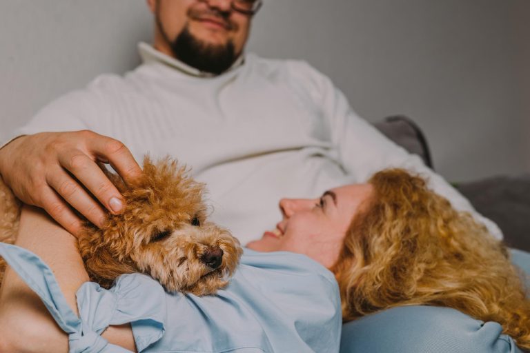 Seguro de mascotas: ¿Por qué es una buena idea?